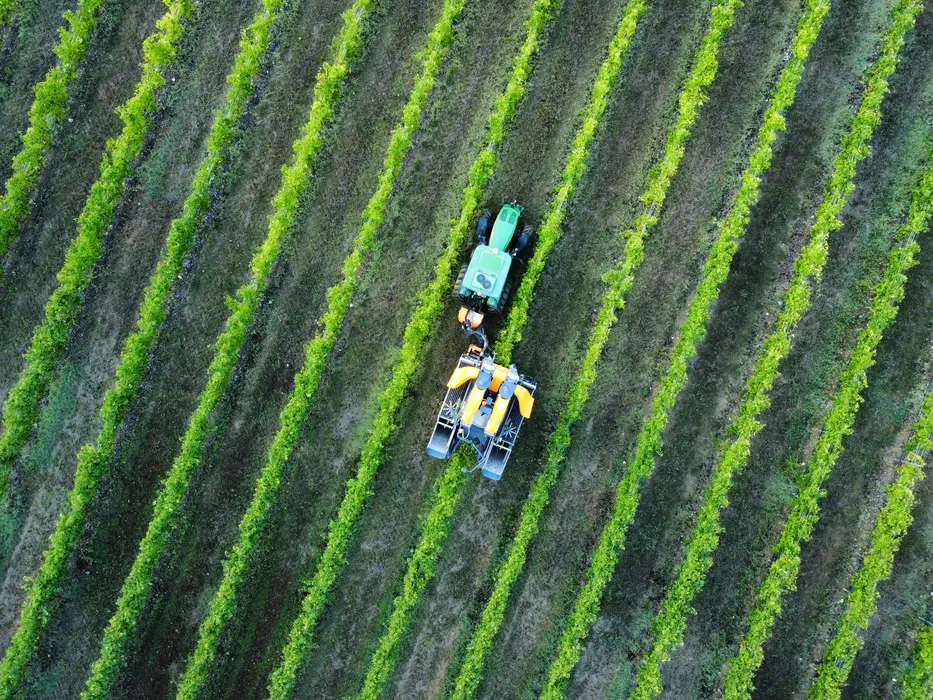 Produzione foto e video