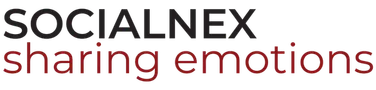 SocialNex name logo